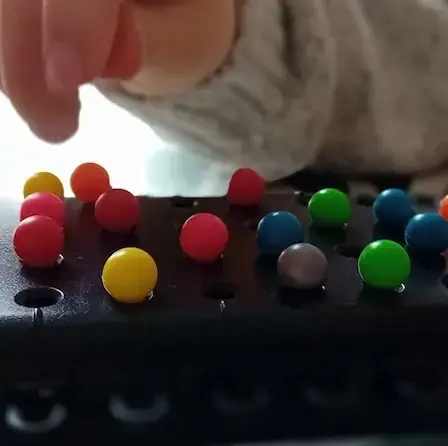 un enfant qui apprend avec des billes